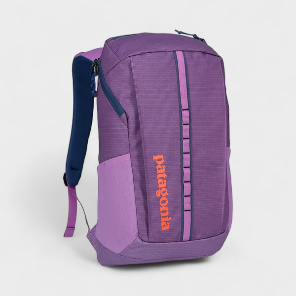 Patagonia Black Hole Backpack 25L - Brisk Purple