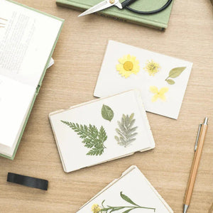 Wald Pocket Flower Press - Forget Me Not