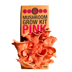 Mushroom Grow Kit - Pink Oyster