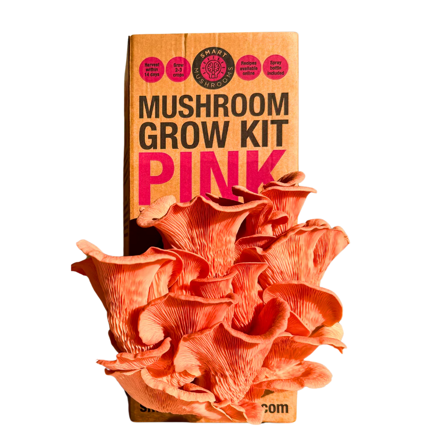 Mushroom Grow Kit - Pink Oyster