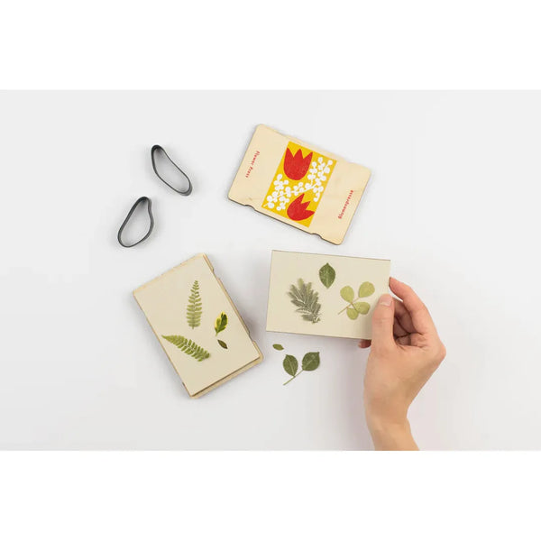 Wald Pocket Flower Press - Tulip