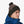 Patagonia Powder Town Beanie - Park Stripe: Marlow Brown