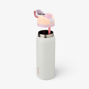 Owala 32oz Freesip Stainless Steel Water Bottle - Coastal Mist