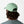 Patagonia P-6 Label Trad Cap - Rinsed Green