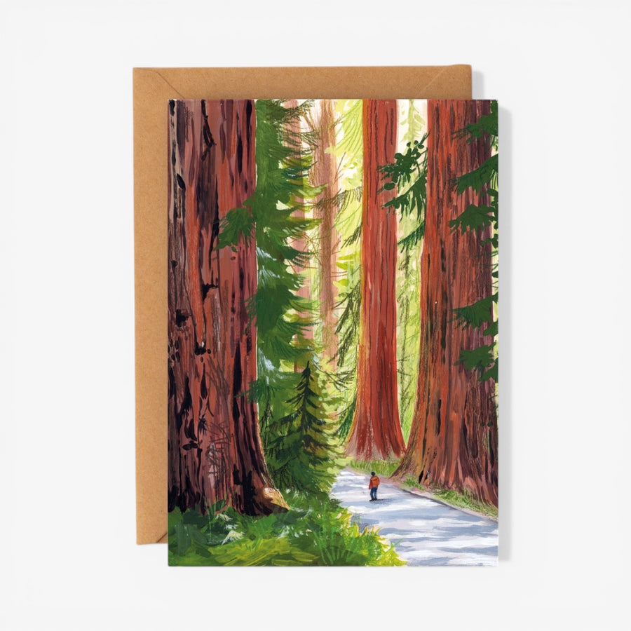 Charis Raine Illustration 'Giant Redwoods' Card