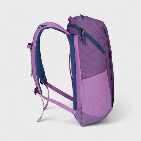 Patagonia Black Hole Backpack 25L - Brisk Purple