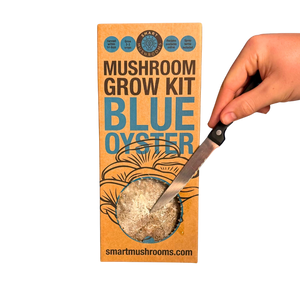 Mushroom Grow Kit - Gold Oyster