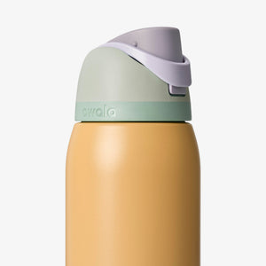 Owala 32oz Freesip Stainless Steel Water Bottle - Beach Front