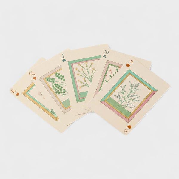 Roomytown Book of Herbs Single Playing Card Deck