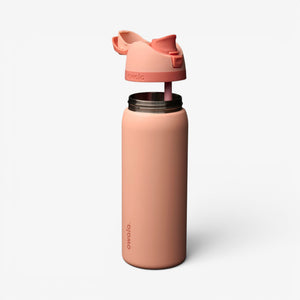 Owala 32oz Freesip Stainless Steel Water Bottle - Peach of Mind