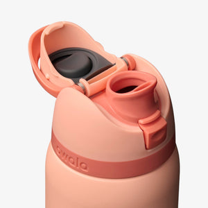 Owala 32oz Freesip Stainless Steel Water Bottle - Peach of Mind