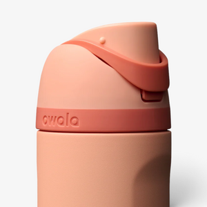 Owala 24oz Freesip Stainless Steel Water Bottle - Peach of Mind