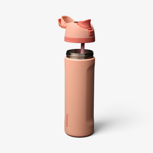 Owala 24oz Freesip Stainless Steel Water Bottle - Peach of Mind