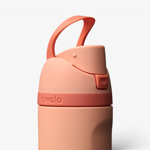 Owala 24oz Freesip Stainless Steel Water Bottle - Peach of Mind