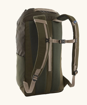 Patagonia Black Hole Backpack 25L - Pine Needle Green