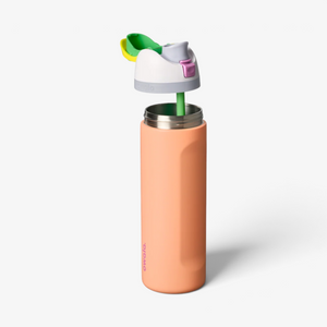 Owala 24oz Freesip Stainless Steel Water Bottle - Peachy Keen