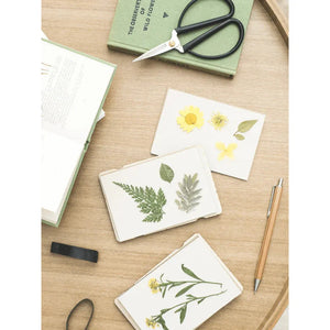 Wald Pocket Flower Press - Cosmos