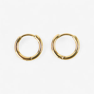 Pineapple Island Golden Celestial Earrings