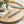 Wald Incense Holder - Swirl
