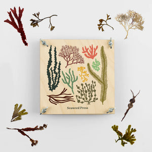 Wald Seaweed Press - Seaweed