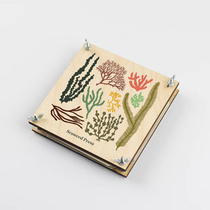 Wald Seaweed Press - Seaweed