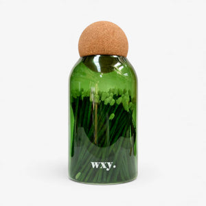 WXY 'Cork Ball Matches' - Green