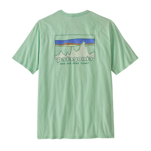 Patagonia '73 Skyline Organic Tee - Rinsed Green