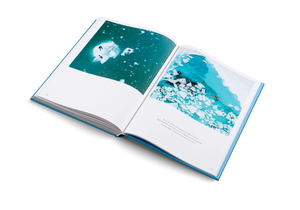 GESTALTEN 'THE OCEANS' HARD BACK EDITION