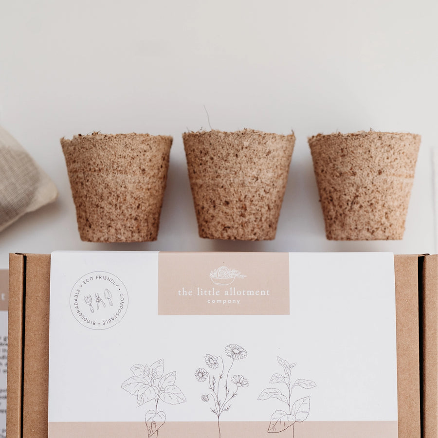 The Little Allotment Company - Organic Herbal Tea Kit