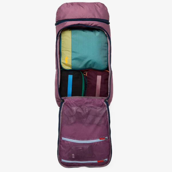 Cotopaxi Allpa 50L Adventure Travel Pack - Fig