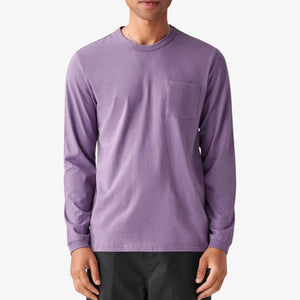 Globe Every Damn Day LS T-shirt - Berry