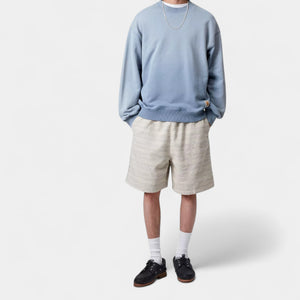 Carhartt Men's Hudson Sweatshirt - Sorrent : Chalk Wash