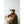 Kavu Organic  Strapcap Cap - Caramel