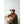 Load image into Gallery viewer, Kavu Organic  Strapcap Cap - Caramel
