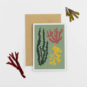 Wald Greeting Card - Seaweed - Green