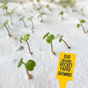 Ruby & Bo 'Fingers Crossed' Plantable Seed Card