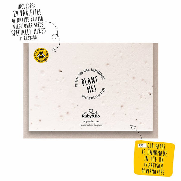 Ruby & Bo 'Happy Love Heart' Seed Card
