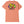 Load image into Gallery viewer, Obey Bowl of Fruit T-Shirt - Citrus
