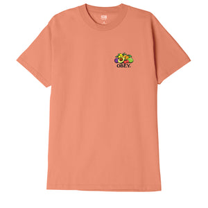 Obey Bowl of Fruit T-Shirt - Citrus