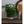 Habulous Ceramics - Handmade Small Planter - Mooreland