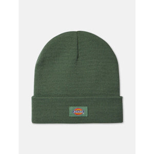 Dickies Gibsland Logo Beanie - Dark Ivy