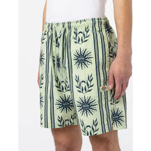Dickies Kelso Shorts - Celadon Green