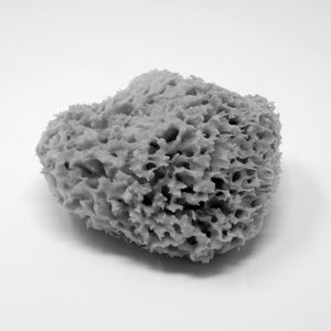 Fill 'Honeycomb' Natural Sea Sponge