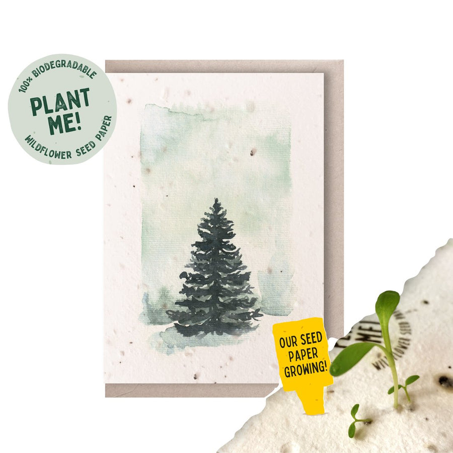 Ruby & Bo 'Pine Tree' Plantable Greetings Card